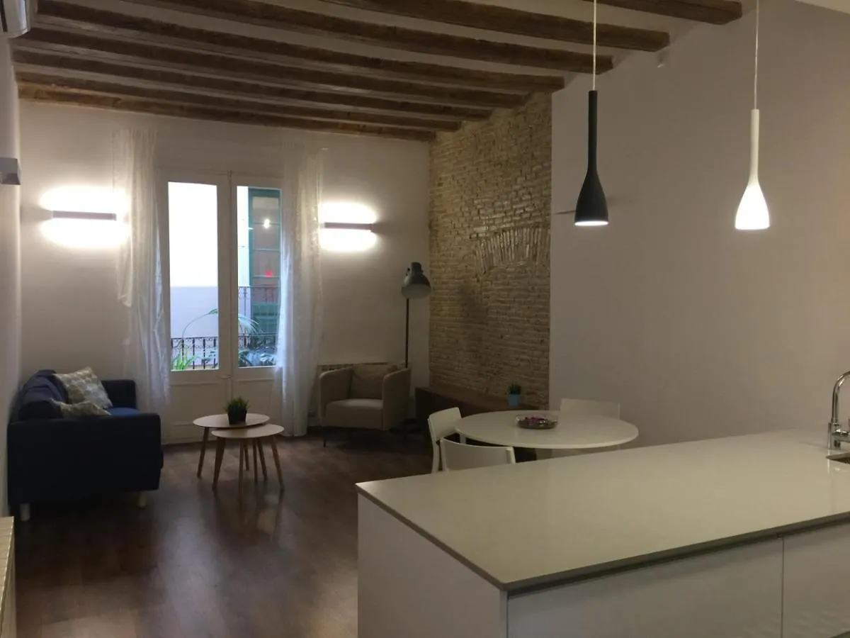 Big Bright Spacious City Center Barcelona Apartment